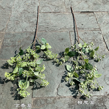 仿真浆果 相思豆 丁香豆绿色果实手捧花酒店家居婚礼装饰假花批发