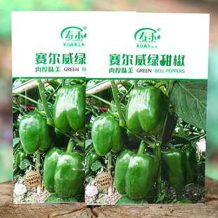 �ཷ�N���������𽷷N�џ��\�t�˽��߲˲����������Ϸ��N�߮a�ѷN