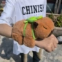 爆款搞怪毛绒抓机玩偶