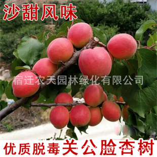 ��Ʒ�N���Ә���޽�â������t������������ͥԺ���۷Nֲ����Y��