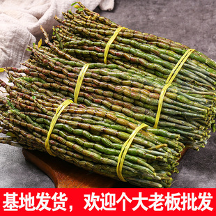 �FƤʯ���ɗl500gɢ�b���l���ʯ���������ǻ�ɽ��Ƥ�ݱ���Ȼ�B��