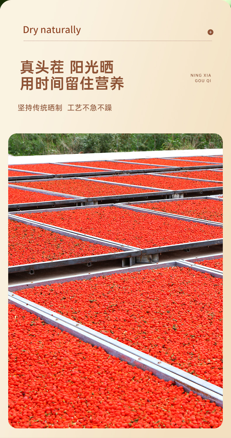 Premium Ningxia Goji Berries 250g Dried Wolfberry Fruit Gou Qi Zi quality and texture