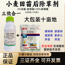 3%双氟唑草酮10%苯磺隆小麦苗后阔叶杂草除草剂双氟磺草胺