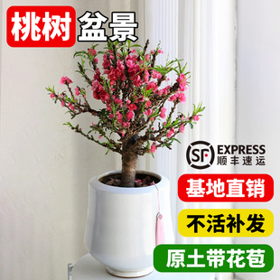 ���A�����������Ϙ��҃��̨�Ҙ��辰�����^�p�ҷN�һ����ͺ����B