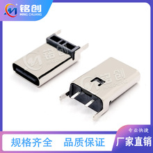 Sֱ¿ USB3.1ĸ TYPE C 2PINʽDIP 13.1H/13.7H