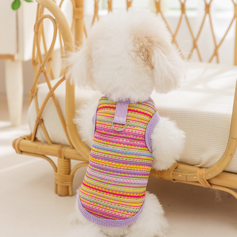 Chaleco tejido multicolor bohemio hueco perro primavera y verano gato Teddy Bichon ropa para mascotas de dos patas