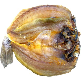 �����خa���r���T�����S�~�����~���S�~���̺��~��؛���l�S���~��