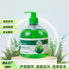 家庭用ホテルフレッシュアロエ洗浄抗菌ハンドソープ プレスボトル 優しい泡抗菌ハンドソープ 箱売り