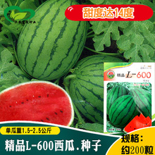 L600ϷN rˈ@st֭С͙EA