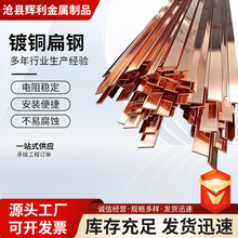 铜包钢扁钢镀铜扁钢接地材料防雷镀铜排水平接地体铜覆钢扁铁扁钢