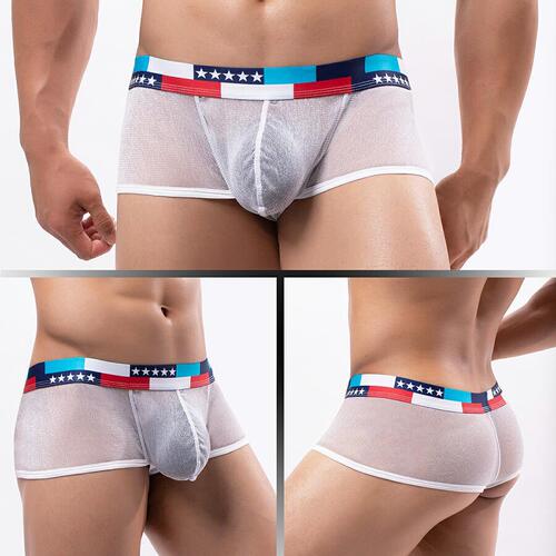 Men's underwear performance see-through ultra-fine mesh bag low waist U convex wide edge small boxer shorts wholesale men's E076B