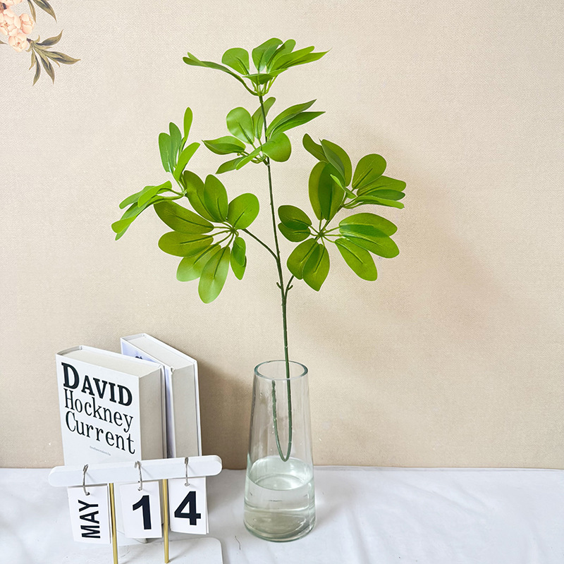 Xanh lục dịu dàng