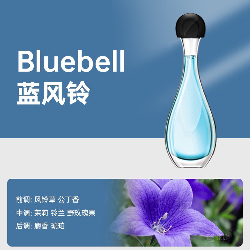 향수【푸른 바람 차임】
