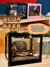 ��D��B�ײ���B�и�͸�������T�����x����W����������������