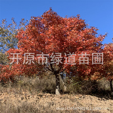 Ԫ�������^�е�����@����Ԫ�����|��Ԫ����С��������Ǘ�