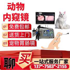 小动物电子胃肠镜宠物狗宠物猫内镜检查仪宫腹腔镜-工厂