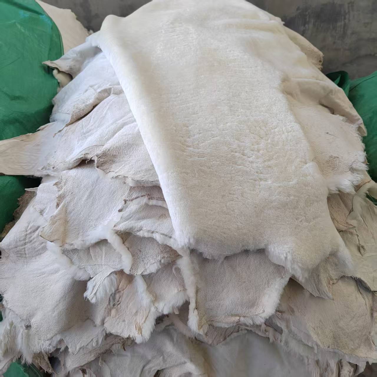 微信图片_20250608163517