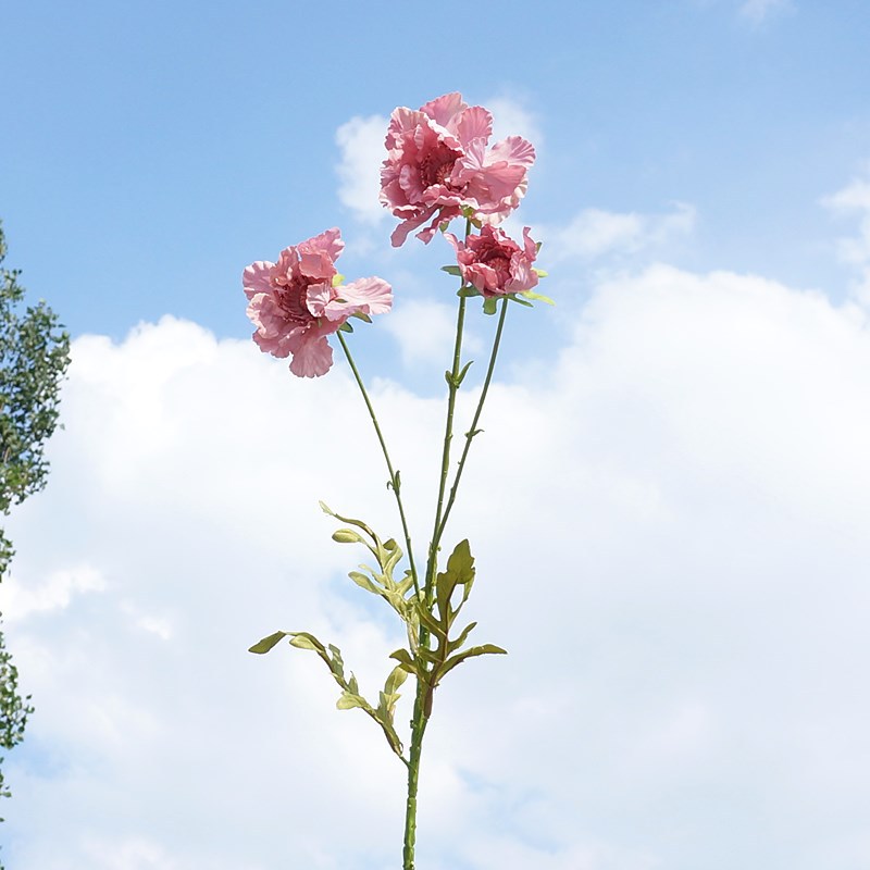 콩 페이스트 033