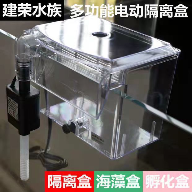 建荣 隔离盒Dophin BB10 孵卵器孵化器 隔离盒带水泵外挂藻缸