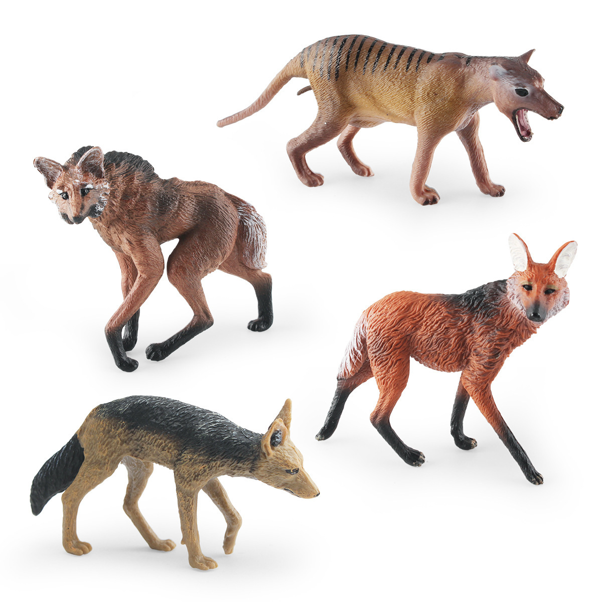 Modelo realista de lobo de pradera transfronterizo, juguete educativo para niños, lobo mancuzo, lobo brasileño, dingo, lobo de espalda negra, pieza de exhibición estática