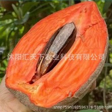 ���羳��̣����Ĺ��N����Ʒ�M�� �̨���ԾGֲ �ļ�ˮ���N��