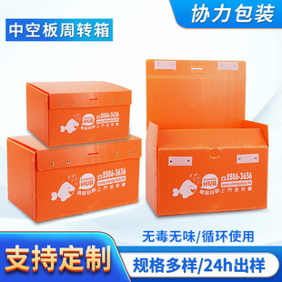 PP�пհ��������ϰ������ռ{��W�����ۯB�������l֧�ֶ� ��