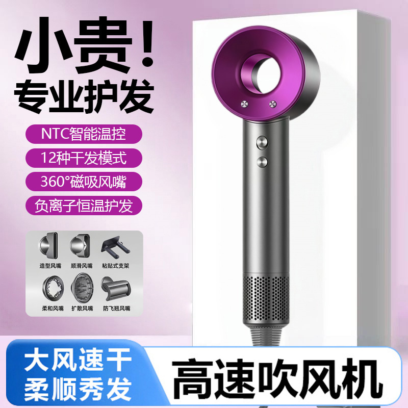 Household Hair Dryer