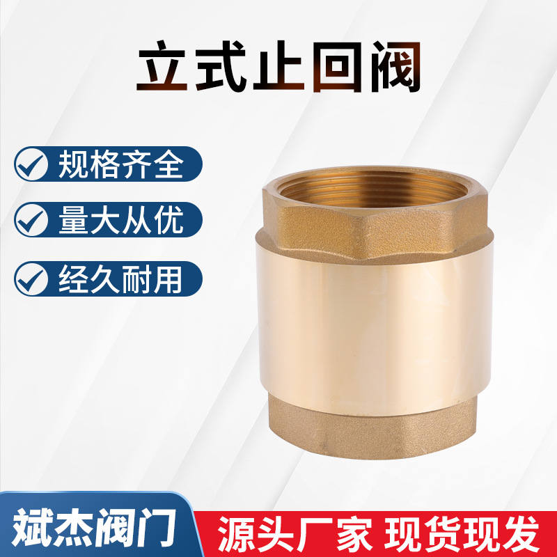 厂家直供立式止回阀 黄铜消声防爆活接止回阀 黄铜立式止回阀制作