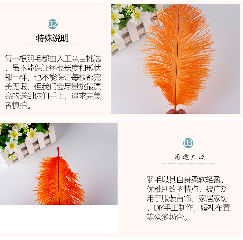 800详情页_03.jpg