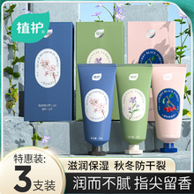 ֲ�o50g*3֧�b���l����o��˪�ﶬ�̝���������ѝ��w˪�S�����l