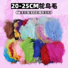 厂家直销20-25cm彩色鸵鸟羽毛舞台装饰婚礼羽毛灯饰工艺品花艺