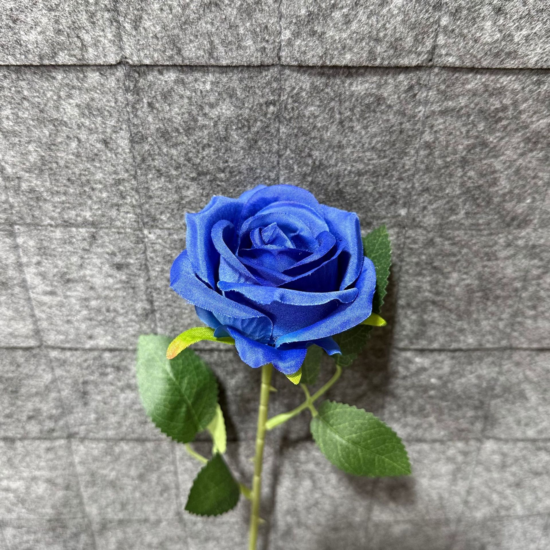 진한 파란색
