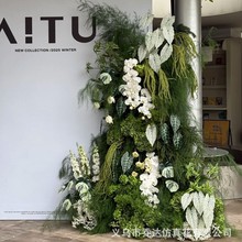 10֧�b��cɭϵ�Gɫϵ�����~�ӻ�Y���b��Ż��ٻ��Gֲ�J���ݷ�