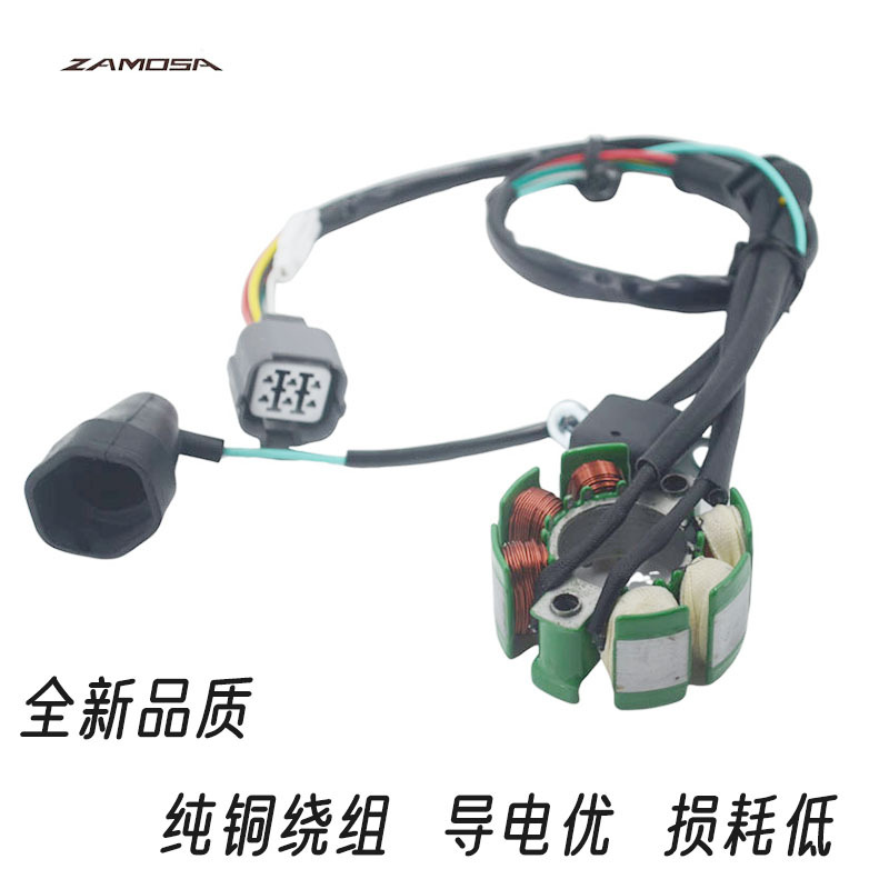 21003-0015 Is Suitable for Suzuki Rmz250 Stator Coil, Suitable for Kawasaki Kx250F Accessories