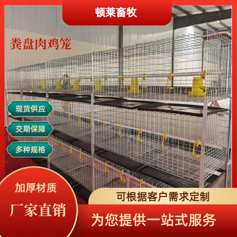 立体肉鸡鸡笼 H型框架鸡笼 鸡舍养鸡场用 镀锌工艺层叠式可供外贸