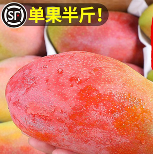 �F��â������â�����r10ˮ�������������Fժ�t��������â�o