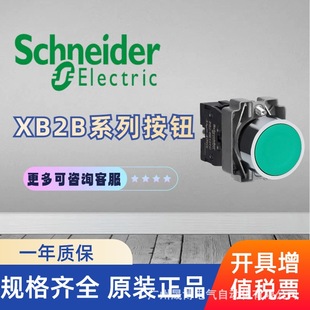 SCHNEIDER -XB2B Indicators-AC/DC 24V Green LED XB2BVB3LC