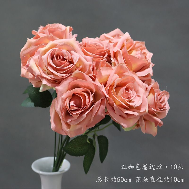 레드 커피 컬링 로즈