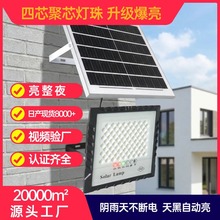 ̫��ܑ���ͥԺ���������T���r����ʷ�ˮledͶ���������