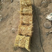 ���Ϻӱ�ɽ�����l�����F·�����ڙn�݉|�ݷ��K�ݶѲݶ��֧�|�ݰ�