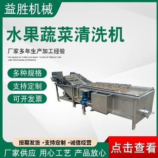 网带清洗输送机气泡臭氧清洗机果蔬清洗加工设备水果蔬菜清洗机