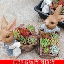 ���@�b�С���Ӷ��⻨���ش�̖�ڏ������Ͳƴ�P���₀�Է��մ�