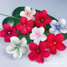 �S�Ҷ���EVA�u�����^l�A�������L���^��Ӿ�b���κ�߅�ە��^�