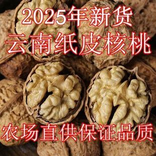 2025����؛������ϼ�Ƥ���ұ�Ƥ���ҳ����һ����ψԹ���ʳ���l