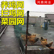 养鸡网养殖网护栏网围边网鸡鸭鹅网菜园围边网多种规格