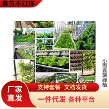 Y˷NӈA˷Nˬ̨ͥԺNֲ߲˷N