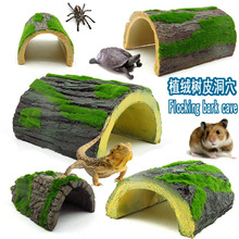 ֲ�q������ܶ�Ѩ������̨�����،m�����ϐ��֩�����x�쾰��Ƥ��