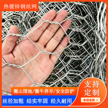 圈地钢丝网水河塘隔离用热镀锌铁丝网圈牛羊护栏网养殖围栏拧花网
