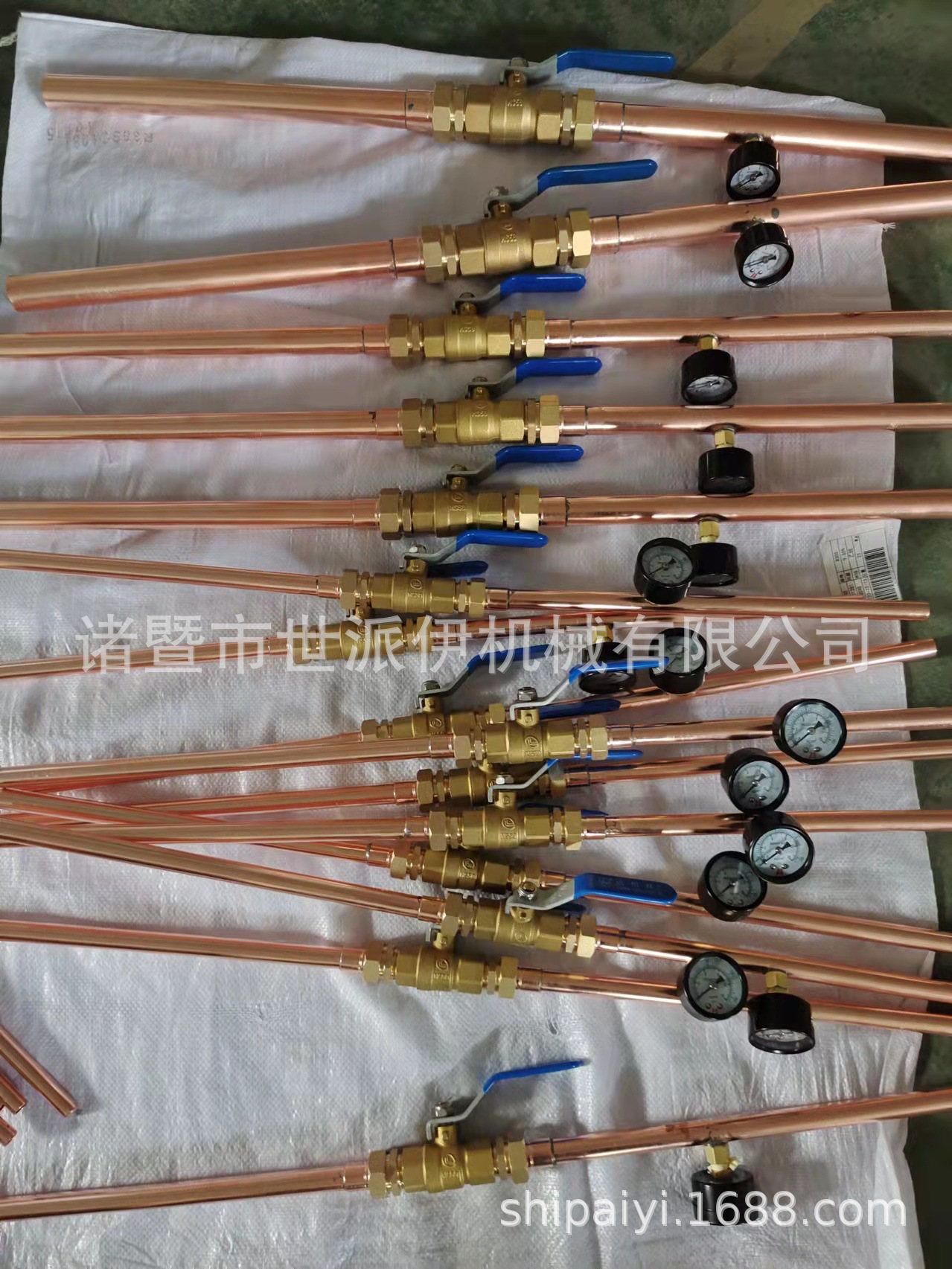 微信图片_202205300903521