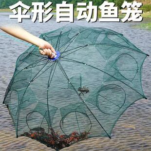 �r�\�~�W��W�~�\���r�W�з�\�S�X�\�O�W���~�W���q�\��\���~�\